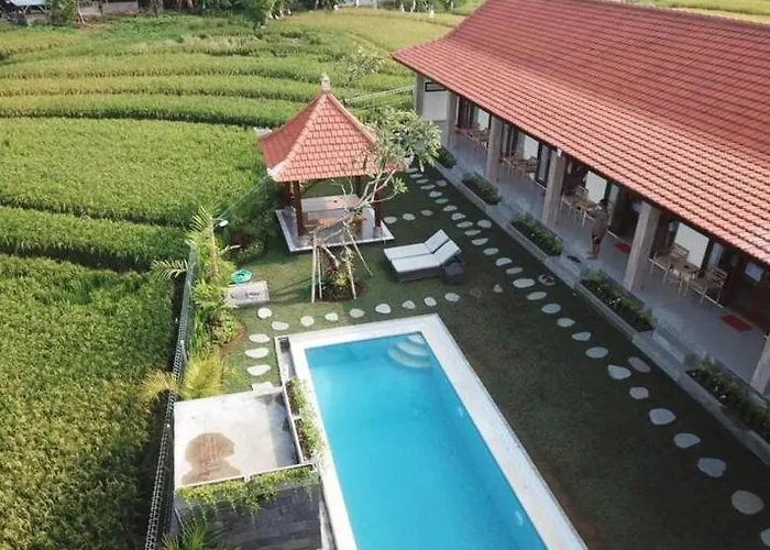 Pensión Rara By Bukit Vista